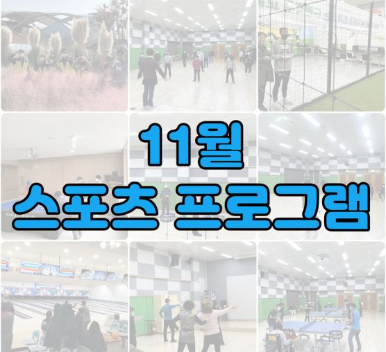 [평생교육지원팀] 2022년 11월 스포츠 프로그램 활동 사진