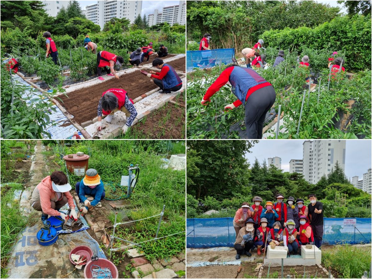 [지역권익옹호팀] 8월 주민조직지원사업 - 마을공동체 / 집밥을 지어드립니다