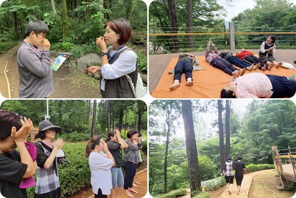 [가족]건강119_편백치유의숲