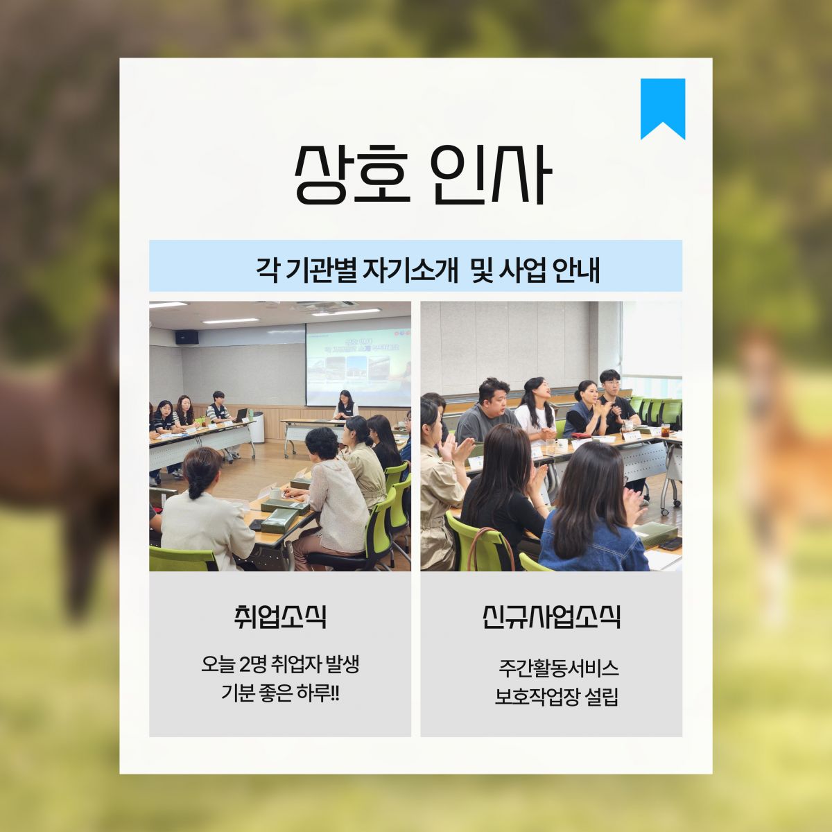 동부권 직업지원네트워크 회의