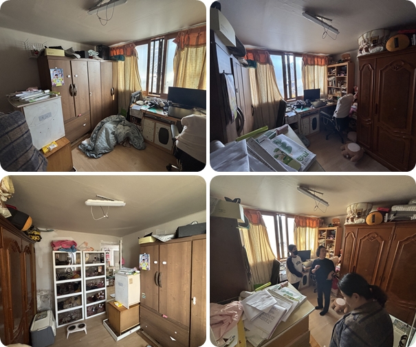 [맞춤] 2월 보금자리를 소개합니다!