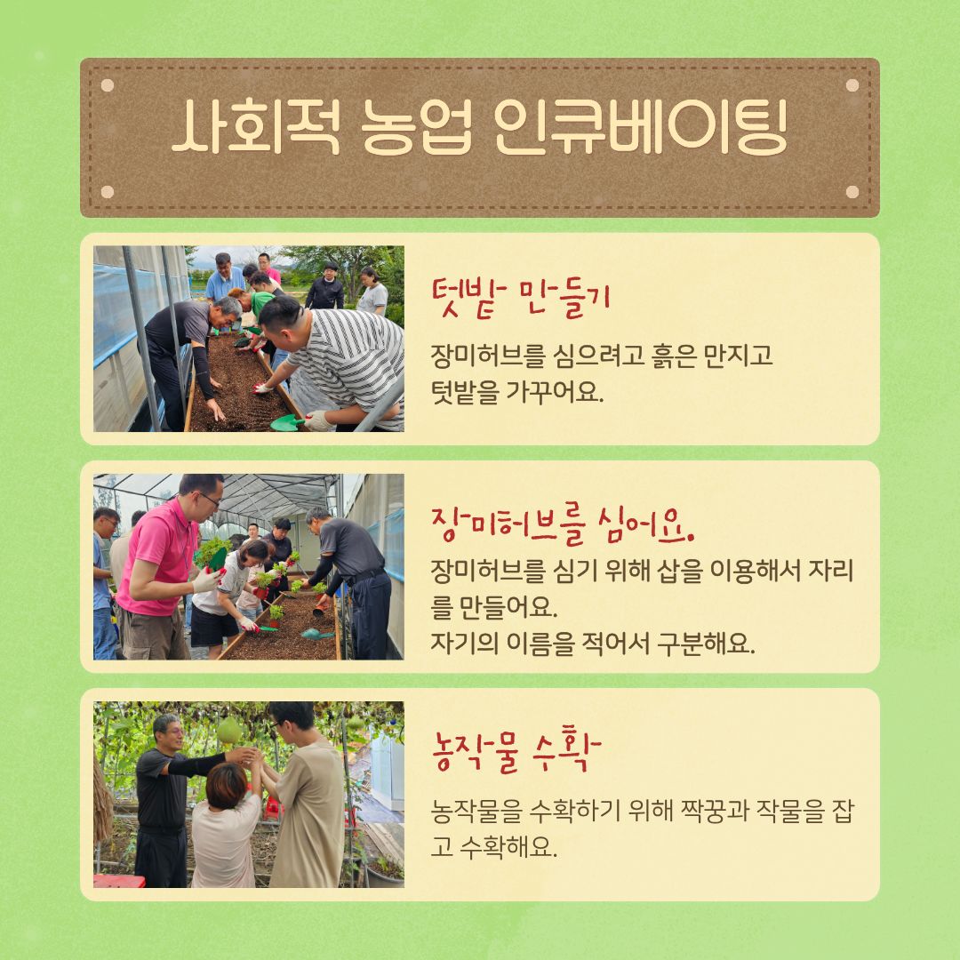 [활동 스케치] 🌿 흙을 만지며 치유와 활력을 채운 시간, '사회적 농업 인큐베이팅' 프로그램 진행!
